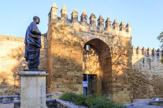 seneca cordoba